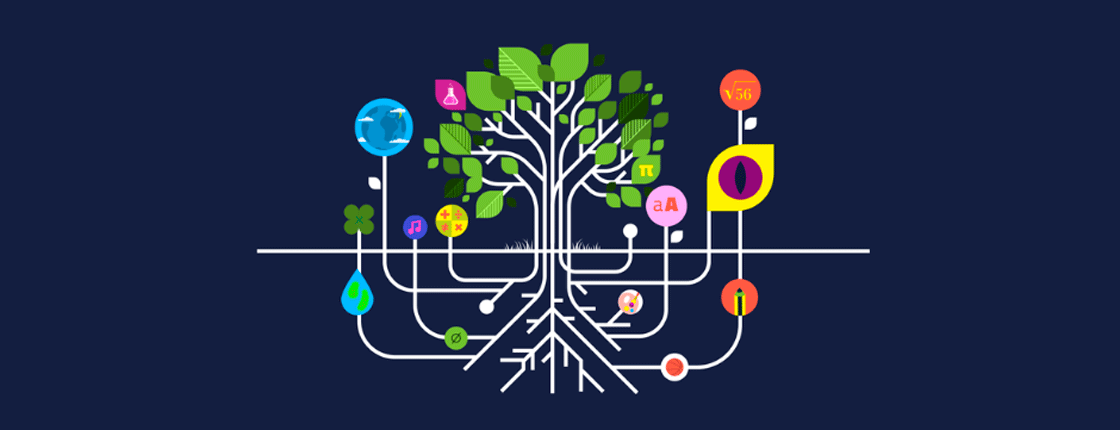 Diagnóstico de desempeño en educación ecosocial